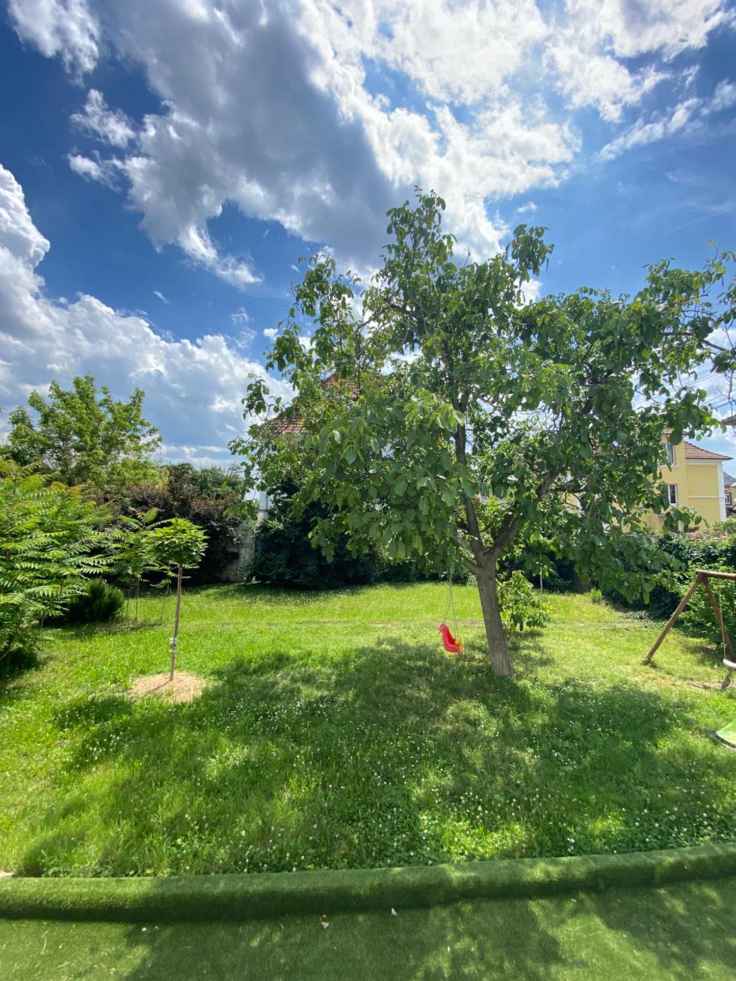Holiday home Bookingalsace - Maison Mittelharth Parking Jardin *