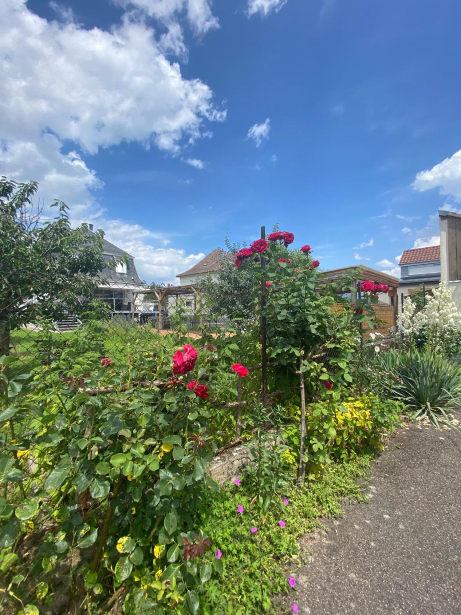 Bookingalsace - Maison Mittelharth Parking Jardin Holiday home Colmar
